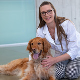 Jessica Ward kneels next to a golden retriever at the ISU College of Veterinary Medicine