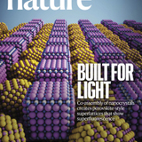 Nature cover featuring this paper and the headline, "Built for Light."