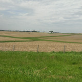 A green and grassy waterway winds through a Midwestern agricultural field