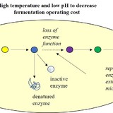 An illustration showing how researchers will substitute hardier enzymes to improve bioproduction of fuels and chemicals.