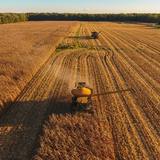 A combine harvests a golden farm field under a light blue sky