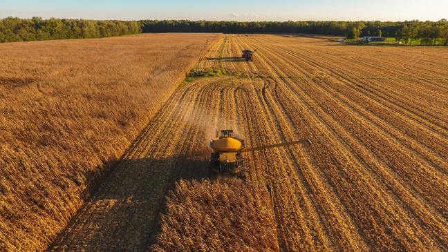 A combine harvests a golden farm field under a light blue sky