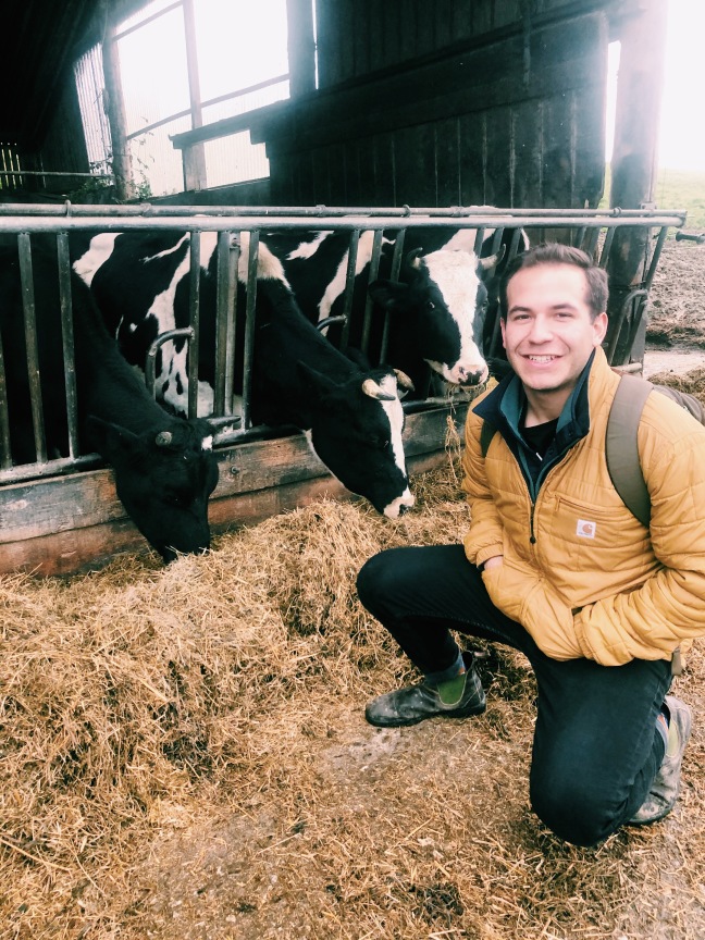 College student on dairy farm