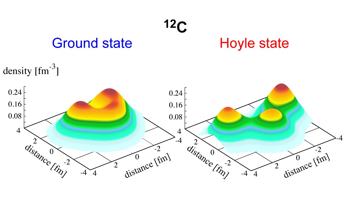 Supercomputer simulations of the structures of carbon-12 in the unstable Hoyle state and as stable carbond-12, the stuff of life.