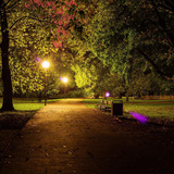 Park with street lights at night