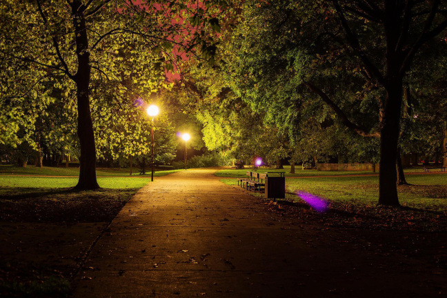Park with street lights at night
