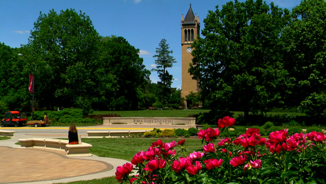 Postcard from Campus: Summer Bliss