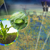 A photo illustration showing satellites and corn plants