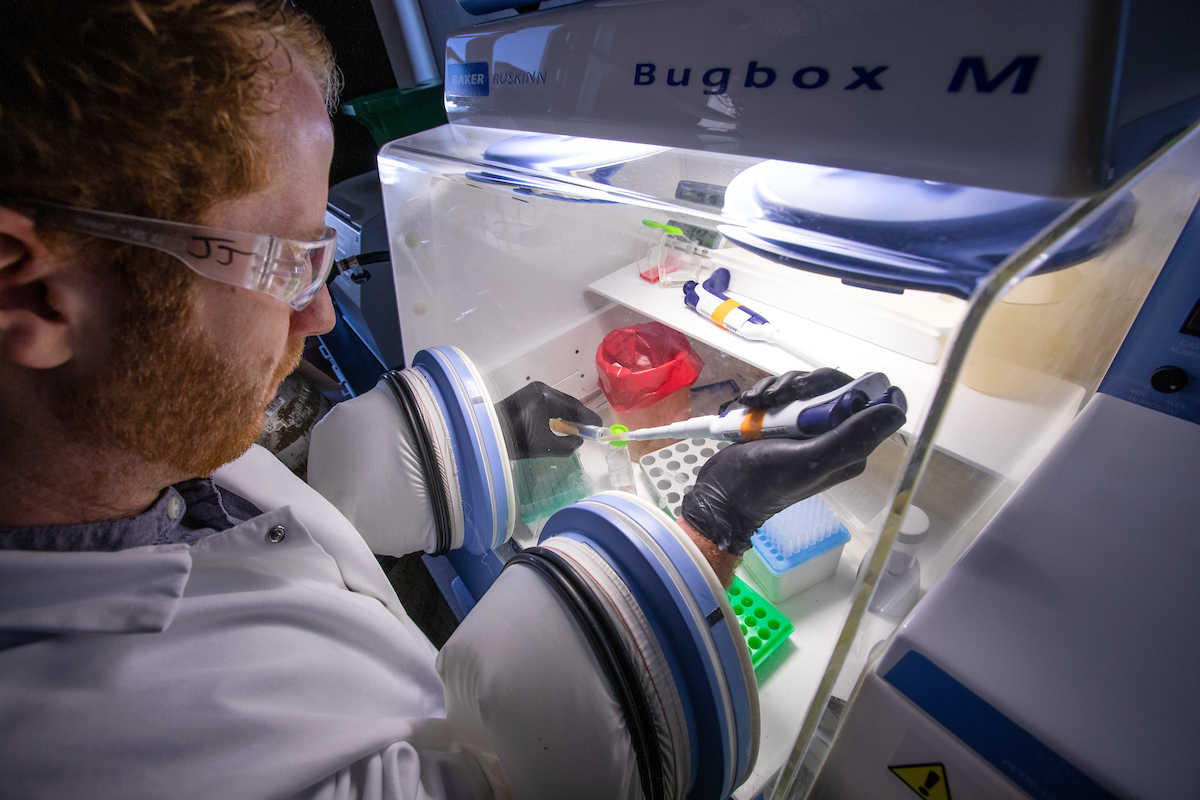 Ph.D. student Jared Meinin-Jochum performs isolation trials with SFB using a pipette inside a low oxygen chamber in Melha Mellata’s Food Sciences Building lab. Photo by Christopher Gannon/Iowa State University.
