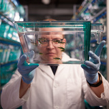 Researcher in white lab coat holding small tank of zebrafish