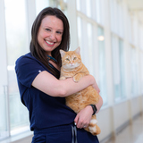 Maia Farber wears veterinary scrubs and holds a cat in the ISU College of Veterinary Medicine