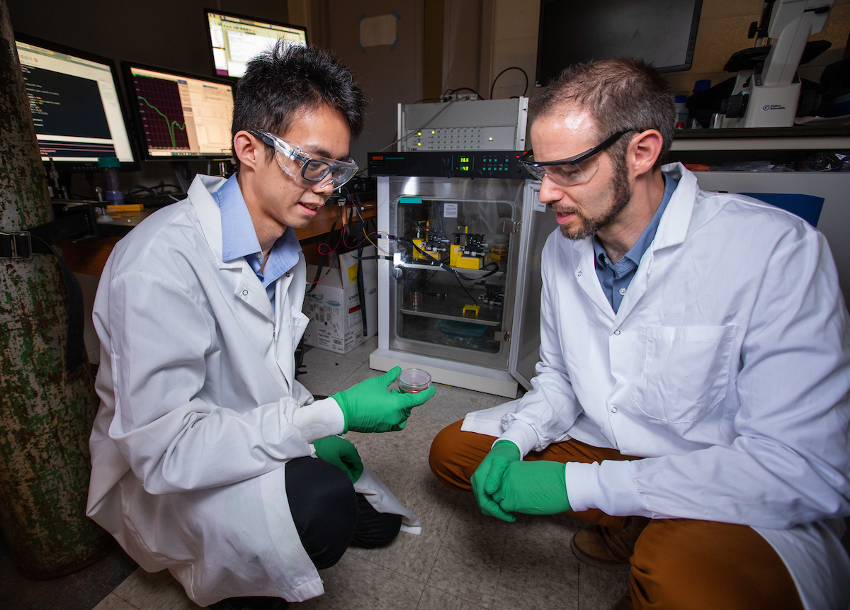 Yee Chan, left, and Nigel Reuel in their biosensor development lab.
