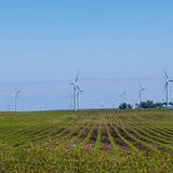 Wind turbines over Iowa farm fields create electricity.