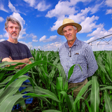 Alan Myers and Thomas Lubberstedt in a corn field