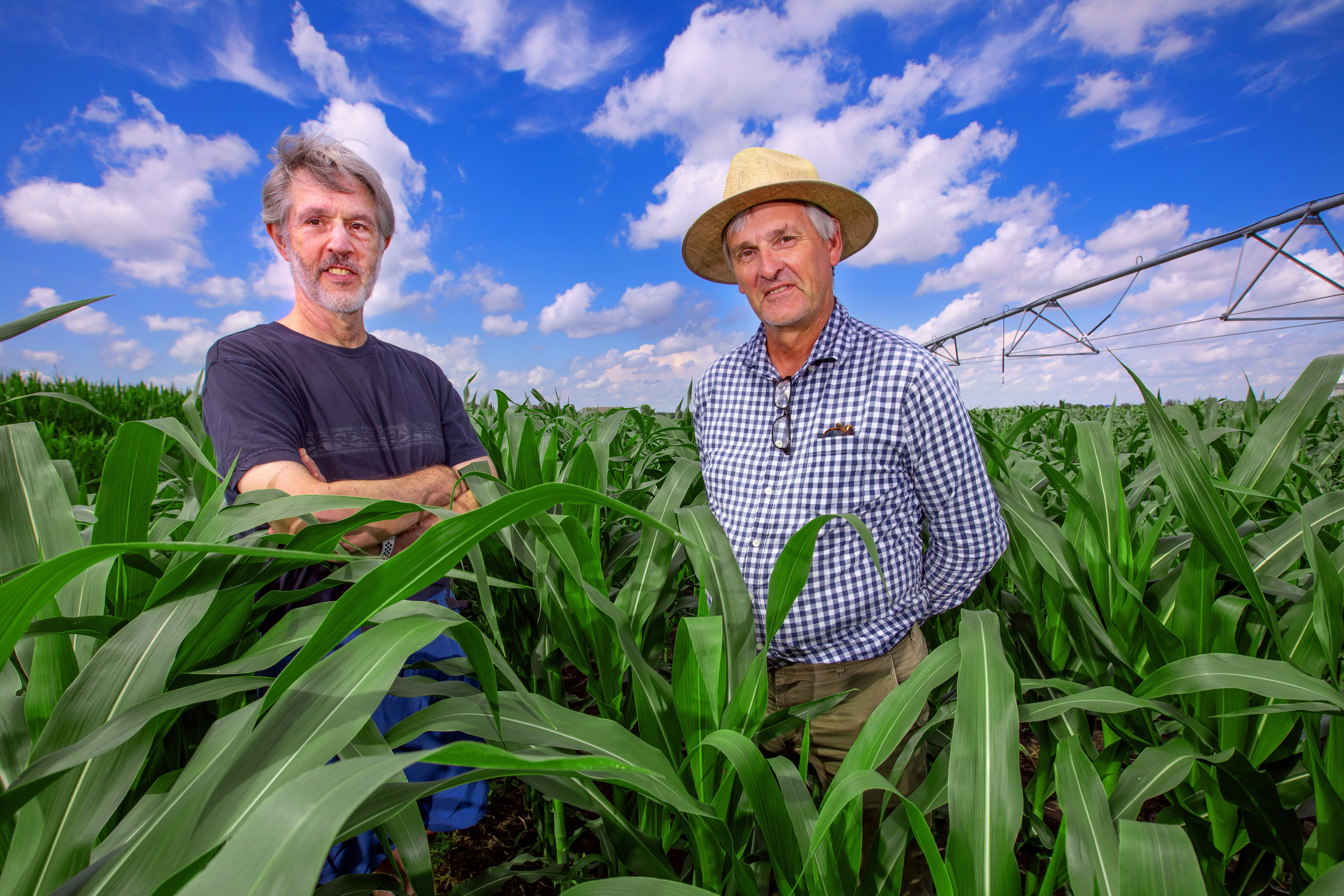 Alan Myers and Thomas Lubberstedt in a corn field