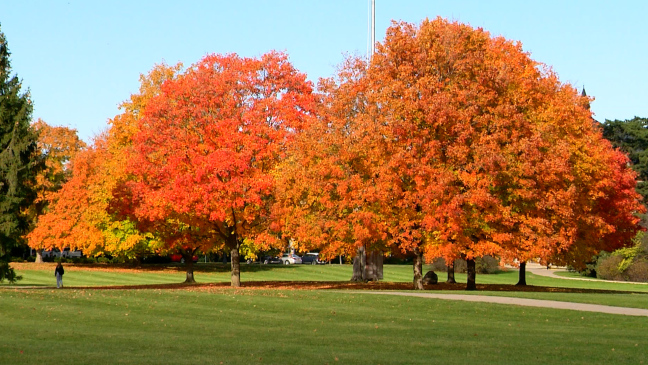 Postcard from Campus: Fabulous Fall