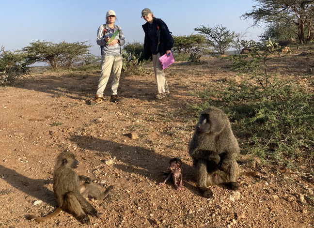 Two Iowa State students observe three baboons, including an infant