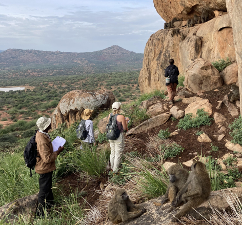 Observers look at a group of baboons on a cliff at the Uaso Ngiro Baboon Project