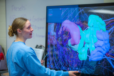 Student touches the screen of a virtual anatomy table