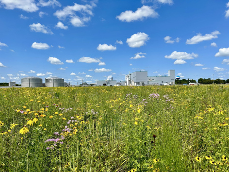 Jiri-Rita Prairie Park with Valent BioSciences plant in the background